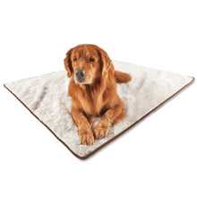 a golden retriever laying on white dog blanket with white background 