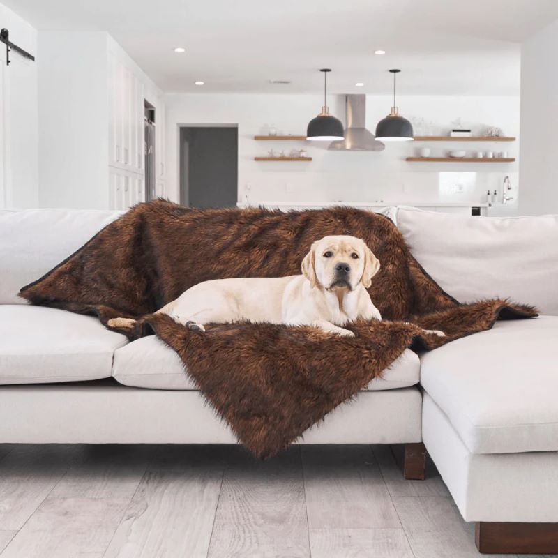 a labrador retriever laying on a brown furry dog blanket on a white couch in an all white modern living room/kitchen  setting
