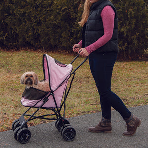 a woman walking her dog in the park in a pink stroller