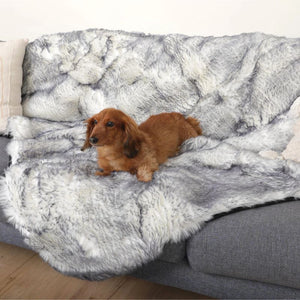 a tiny dacshund laying on a grey couch on a white and grey fluffy dog blanket in a modern living room 