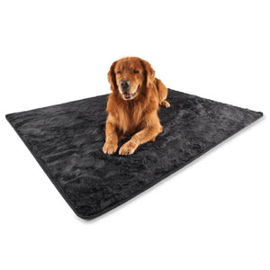 a golden retriever laying on a balck furry dog blanket with white background