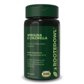 Spirulina & Chlorella
