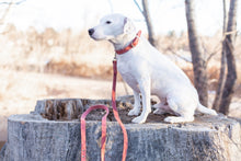 Pro Line Leather Hunting Dog Leash