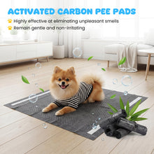 24" x 24" Charcoal Dog Pee Pads 6-Layer for Dogs