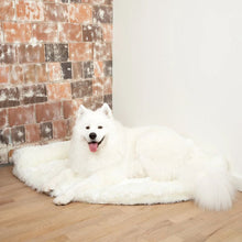 a happy samoyed layoin on white furry dog bed on the corner wall of a white and brick wall 