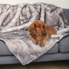a cute dacshund laying on a gray couch on a white and grey fluffy dog blanket 