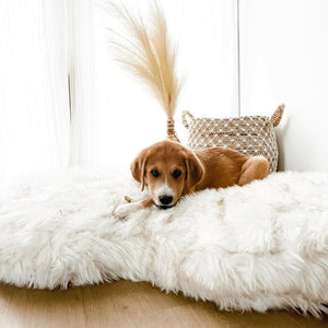 a cute little puppy laying on a white furry dog bed next to a sewn rattan bag in an all white room setting