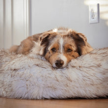 close up image of dog laying on a fluffy white dog bed bed.