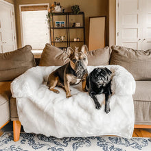 a pug and a french bulldog sitting next to each other on a brown sofa on a white dog couch lounger in a wooden modern room setting 
