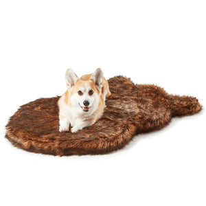 a corgi laying a brown fluffy dog bed with white background