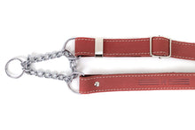 Martingale Leather Dog Collar