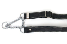 Martingale Leather Dog Collar