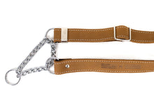 Martingale Leather Dog Collar