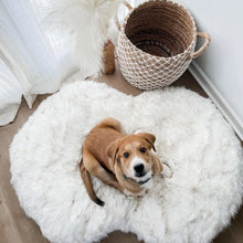 top view image of  dog sitting on a fluffy dog bed next to a straw basket