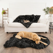 a french bulldog laying on a balck furry dog blanket on a white couch and a golden retriever laying on a black furry dog bed on the floor in a white modern room with potted plants on the background 