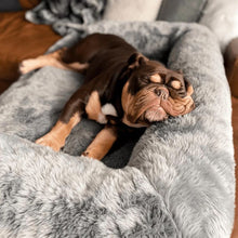 a close up image of an english bulldog sleeping on a grey couch lounger on a brown couch
