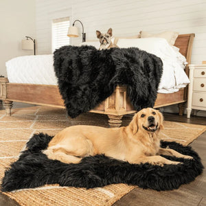 a happy golden retriever laying on a black furry dog bed on the floor and a french bulldog laying on a black furry dog blanket on the edge of the wooden bed in a modern bedroom