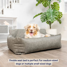 a cute dog laying on a grey car dog bed next to a white stair and a potted plant 