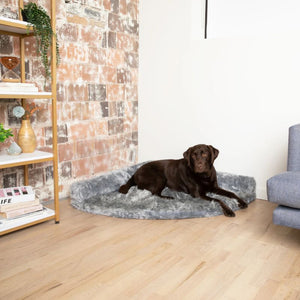 a black labrador siting on grey furry dog bed on the corner of the house in between of a couch and a wooden shelf