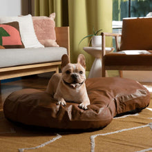 a french bulldog happily laying on a brown leather dog bed next to two wooden couch in a modern living room setting