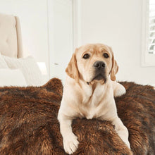 a close up image of a labrador retriever laying on a brwon furry dog blanket near the window in an all white bedroom