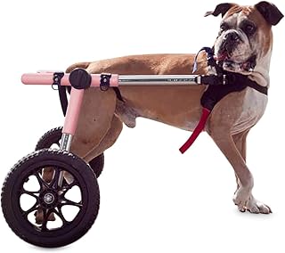 Walkin' Pets, Walkin' Wheels Small Dog Wheelchair