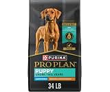 Wholistic Pet Organics, Puppy Complete 8 oz