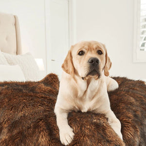 a close up image of a labrador retriever laying on a brown furry dog bed at the edge on a white cozy bed 