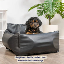 a cute fluffy black and brown puffy sitting on a tiny black leather car dog bed next to a potted white plant in an all white room setting 