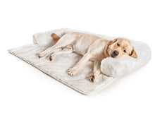 a labrador retriever laying on a white dog couch lounger in white background