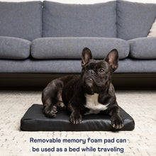 a black french bulldog laying on a black leather dog pad on the floor in front of a grey couch 