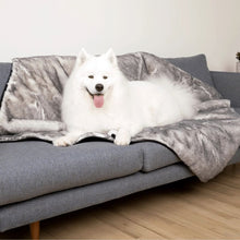 a happy white dog on a grey couch laying on a grey dog blanket in a modern room setting