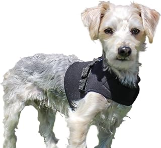 Walkin' Pets, Small Premium Front Vest for Small Dog Wheelchair
