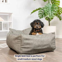 a cute furry puppy sitting on a grey car dog bed next to a white stair and a potted plant on the background 