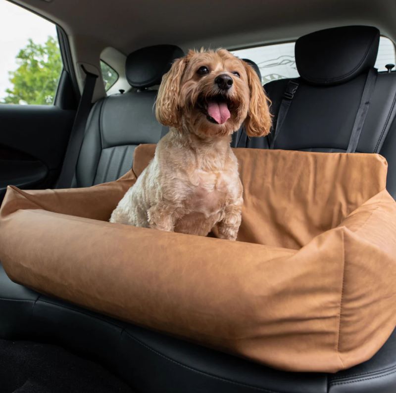 a cute brown happy puppy sitting on a brown car dog bed  inside a car with black leather back passenger seat