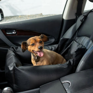 a tiny cute little dog sitting on a balck leather car dog bed in the passenger seat next to a car door handle and a seatbelt 