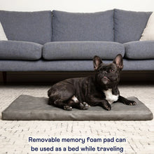 a french bulldog laying on a removable pad for a car dog bed in front of a blue couch in a white room 