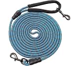 Blue 9 Lead 4ft Leash