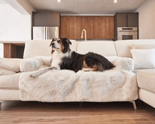 an australian sheppered laying on the white couch on a white dog couch lounger in a modern living room and kitchen