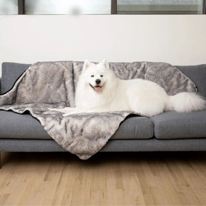 a samoyed laying on a grey couch on a white and grey dog blanket in a modern living room near the window