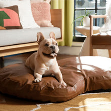 a french bulldog laying on a brown leather dog bed in a modern aesthetic room with wooden couch and chair