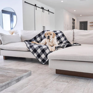 a labrador retriever laying on an L shaped white couch on a balck and white checkered pattern dog blanket in an all white modern living room setting