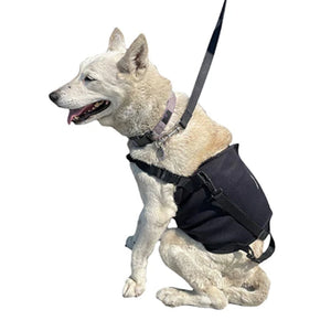 a side view of a white dog with a belly support harness with white background 