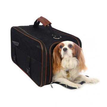 a cute fluffy dog inside a dog black dog carrier with brown handle in white background