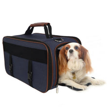 a cute fluffy dog inside a denim dog carrier  with brown handle in white background