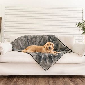 a golden retriever on an all white room laying on a white couch with a grey dog blanket 
