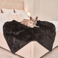 a french bulldog laying on the edge of the bed on a black dog blanket in a white themed bedroom