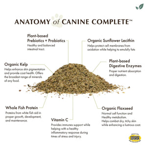 anatomy of canine complete