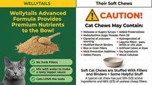 WellyTails Senior Cat Joint Care ADVANCED 45 Scoops 9.17 oz. (260 grams)