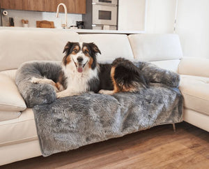 a border colie sitting on the white couch with a grey dog couch lounger in a modern kitchen
